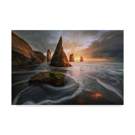 Trademark Fine Art Tim Fan 'Warcraft' Canvas Art, 30x47 1X04586-C3047GG